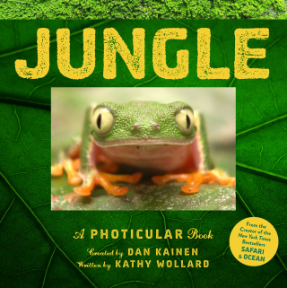 Jungle - Dan Kainen,Kathy Wollard