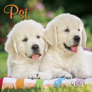 Kalendář 2026 Psi, nástěnný, 33 x 33 cm - neuveden