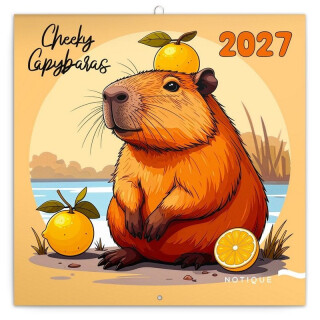 Poznámkový kalendář Rozverné kapybary 2027 - 