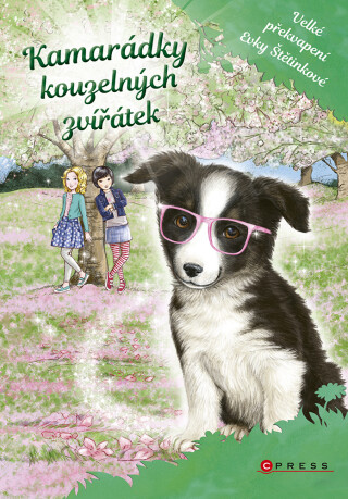 Kamarádky kouzelných zvířátek 3: Velké překvapení Evky Štětinkové - Daisy Meadows