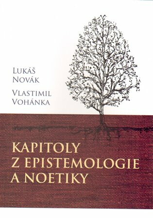 Kapitoly z epistemologie a noetiky - Lukáš Novák,Vlastimil Vohánka