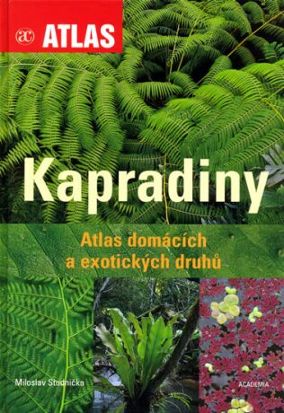 Kapradiny - Miroslav Studnička