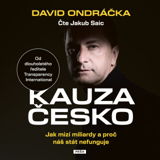 Kauza Česko - David Ondráčka