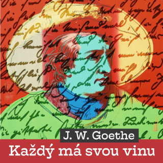 Každý má svou vinu - Johann Wolfgang Goethe