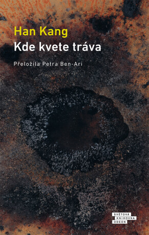 Kde kvete tráva - Han Kang