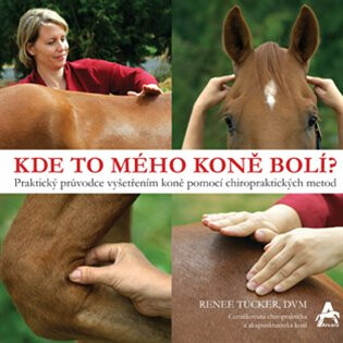 Kde to mého koně bolí? - Renee Tucker