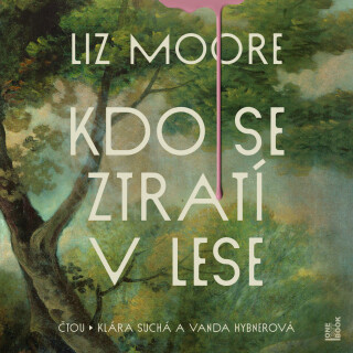 Kdo se ztratí v lese - Liz Moore