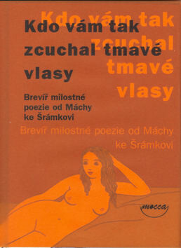 Kdo vám tak zcuchal tmavé vlasy - Marcela Turečková,Jan Macháček