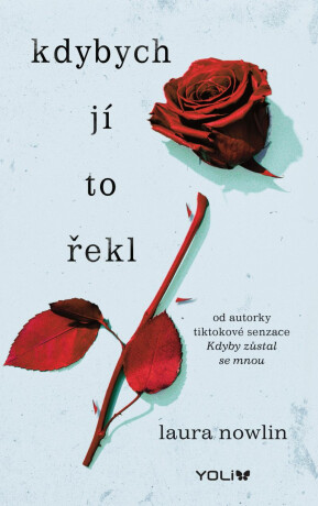 Kdybych jí to řekl - Laura Nowlin