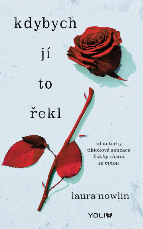 Kdybych jí to řekl - Laura Nowlin