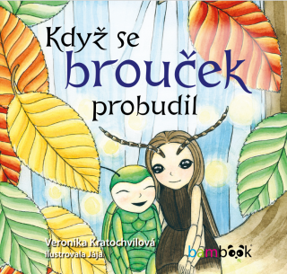 Když se brouček probudil - Veronika Kratochvílová,Jaroslava Šupová