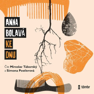 Ke dnu - Anna Bolavá