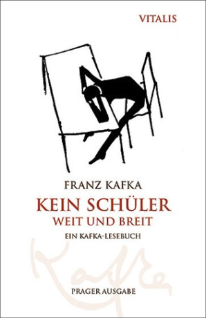 Kein Schüler weit und breit - Franz Kafka,Harald Salfellner