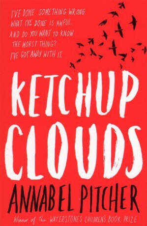 Ketchup Clouds - Annabel Pitcher