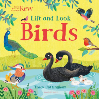 Kew: Lift and Look Birds - 
