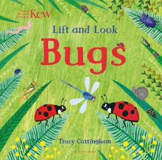 Kew: Lift and Look Bugs - 