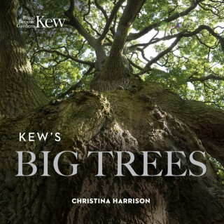 Kewâ€™s Big Trees - Christina Harrison