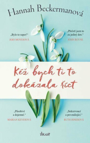 Kéž bych ti to dokázala říct (poškozená) - Hannah Beckerman