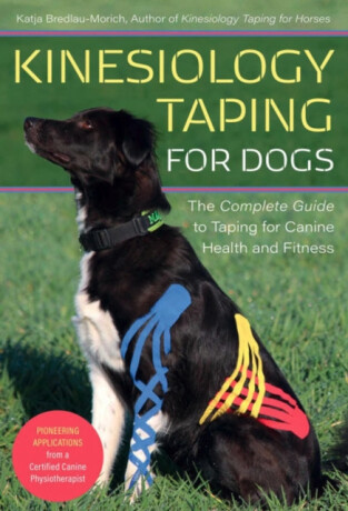 Kinesiology Taping for Dogs - Katja Bredlau-Morich