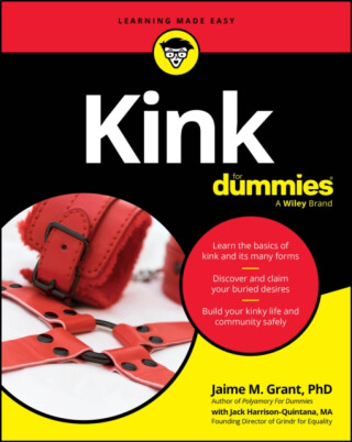 Kink For Dummies - Jack Harrison-Quintana,Jaime M. Grant