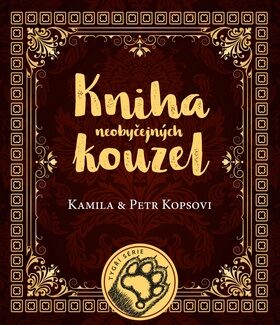 Kniha neobyčejných kouzel - Kamila Kopsová,Petr Kops