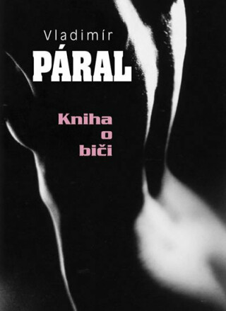 Kniha o biči - Vladimír Páral