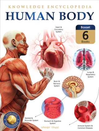 Knowledge Encyclopedia For Children: Human Body - 