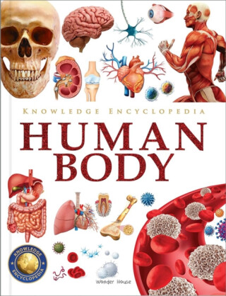Knowledge Encyclopedia Human Body - 
