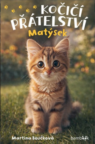 Kočičí přátelství - Matýsek - Boučková Martina