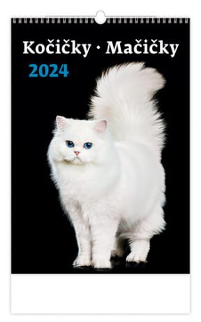 Kočičky/Mačičky - nástěnný kalendář 2024 - neuveden