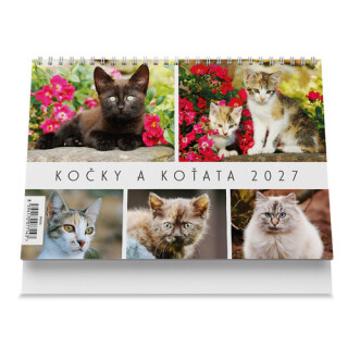 Kočky a koťata 2027 - Stolní kalendář - 