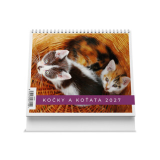 Kočky a koťata 2027 - Stolní kalendář - 
