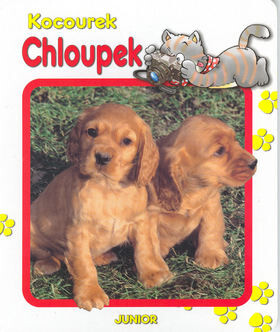 Kocourek Chloupek - Dana Winklerová