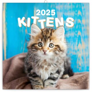NOTIQUE Poznámkový kalendář Koťata 2025, 30 x 30 cm - 