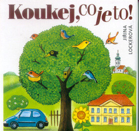 Koukej, co je to! - Jiřina Lockerová
