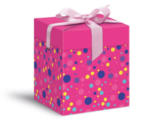 Krabička dárková 12x12x15cm - 