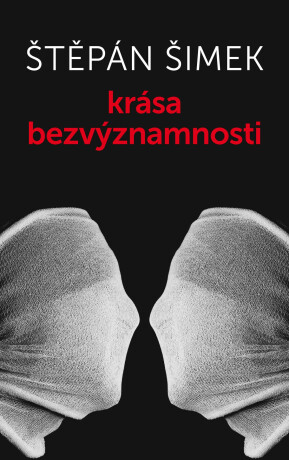 Krása bezvýznamnosti - Štěpán Šimek