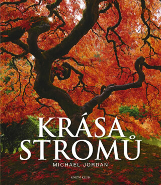 Krása stromů - Jordan Michael