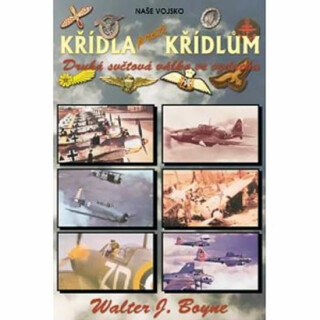 Křídla proti křídlům - Walter J. Boyne
