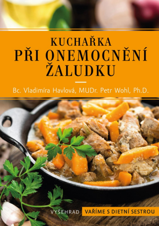 Kuchařka při onemocnění žaludku - Vladimíra Havlová,Petr Wohl