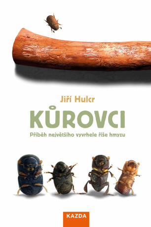 Kůrovci -  Jiří Hulcr