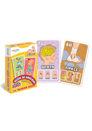 Kvarteto Učím se anglicky - The Human Body - Filip Škoda,Noël Kingsbury