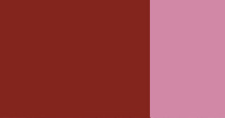 Kvašová barva Schmincke 20ml – 678 burnt Sienna - 