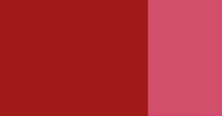 Kvašová barva Schmincke 20ml – 682 English red - 