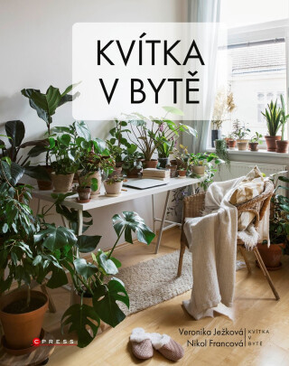 Kvítka v bytě -  Kolektiv autorů
