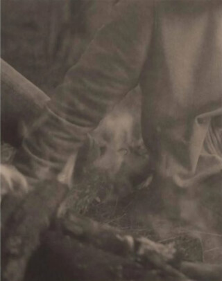 La Ronde des hirondelles - 