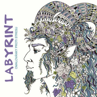 Labyrint - Omalovánky proti stresu - Richard Merritt,Sabine Reinhartová