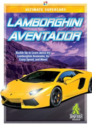 Lamborghini Aventador - Craig Ellenport