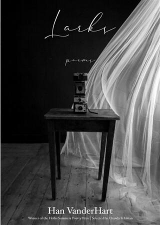 Larks - Han VanderHart