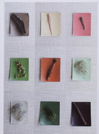 Late Spring - Debby Huysmans